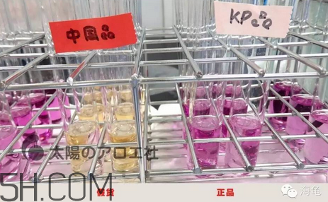 太陽社玻尿酸孕婦能用嗎？怎樣辯別真假太陽社玻尿酸？