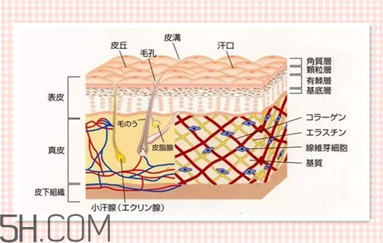 水光針可以祛斑嗎？涂抹式水光針的效果好嗎？