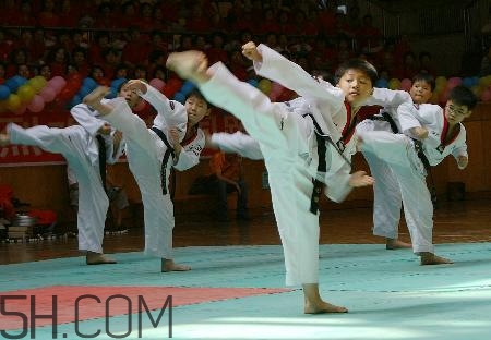 武術(shù)和跆拳道哪個(gè)對(duì)孩子好？武術(shù)和跆拳道的區(qū)別在哪里？