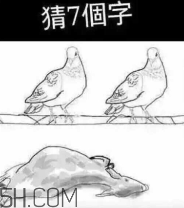 52422696代表什么意思？女生發(fā)52422696暗示什么