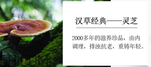 羽西小鮮瓶安瓶怎么用？羽西小鮮瓶安瓶怎么樣