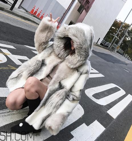十字貂和水貂哪個(gè)好？十字貂和水貂哪個(gè)貴？
