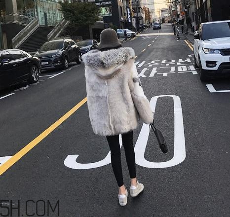 十字貂和水貂哪個(gè)好？十字貂和水貂哪個(gè)貴？