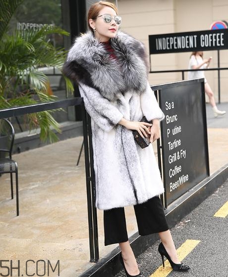 丹麥貂好還是美國貂好？丹麥貂和美國貂的區(qū)別