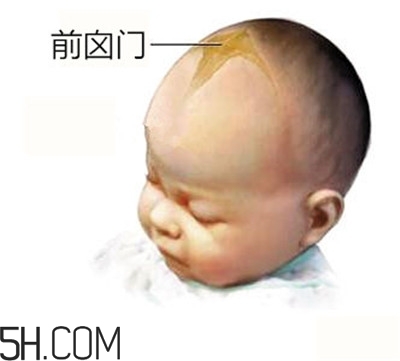 寶寶囟門是怎樣的一個部位？寶寶的囟門要怎樣保護比較好？