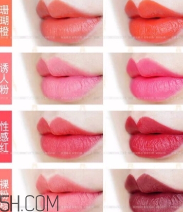 唇膏盤怎么用？口紅盤怎么用法