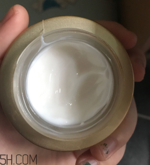 詩婷露雅蝸牛面霜適合秋冬嗎？適合油皮嗎？
