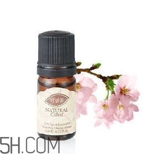 丁香精油怎么用？丁香精油的功效與作用？