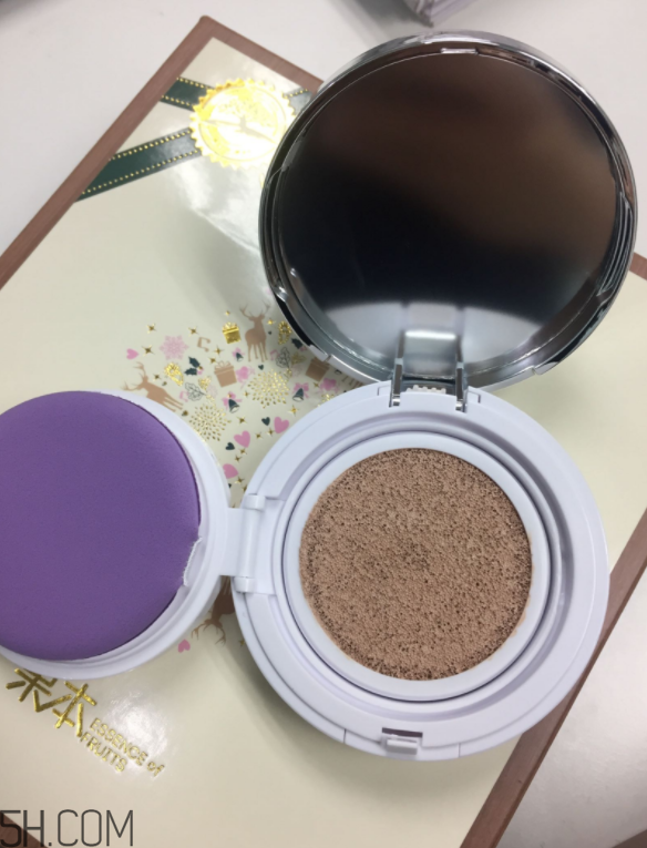 詩婷露雅氣墊CC霜使用心得_產(chǎn)品評(píng)測(cè)