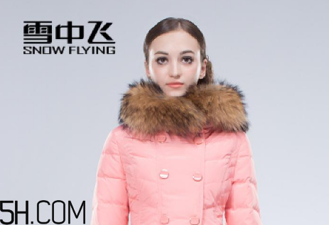 最貴的羽絨服什么價格？羽絨服什么牌子的好？