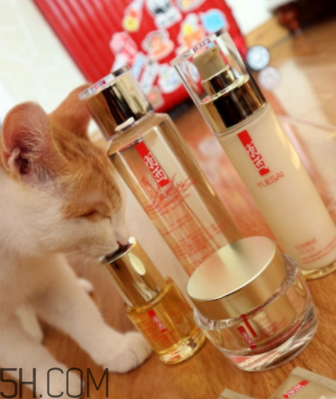 羽西蟲草新肌水有什么功效？適合什么膚質(zhì)？