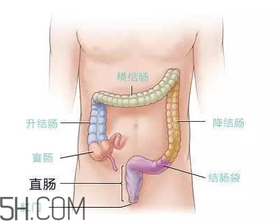 宿便有什么危害？如何清除宿便？