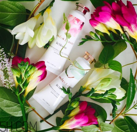 linden leaves香氛護(hù)手霜好用嗎？laura ashley護(hù)手霜好用嗎？