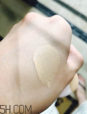 蘭蔻菁純氣墊粉底液110號(hào)色適合黃皮嗎？真人試色
