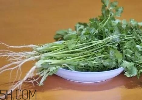 香菜根煮水能減肥嗎？香菜根煮水能天天喝嗎？