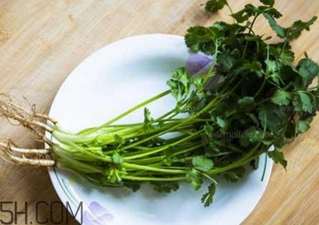 香菜根煮水能減肥嗎？香菜根煮水能天天喝嗎？