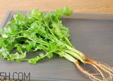 香菜根煮水能美白嗎？香菜根煮水能祛斑嗎？