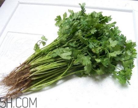 香菜根煮水能美白嗎？香菜根煮水能祛斑嗎？