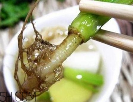 香菜根煮水能美白嗎？香菜根煮水能祛斑嗎？