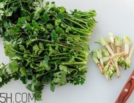 香菜根煮水能退燒嗎？香菜根煮水能治咳嗽嗎？