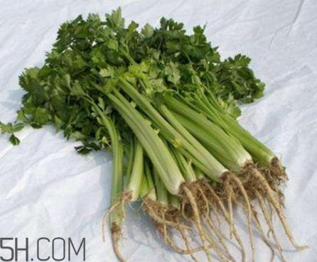 香菜根煮水能退燒嗎？香菜根煮水能治咳嗽嗎？