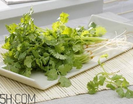 香菜根煮水能治濕疹嗎？香菜根煮水孕婦能喝嗎？