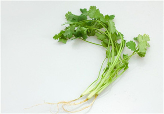 香菜根煮水能治濕疹嗎？香菜根煮水孕婦能喝嗎？