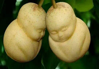 女人吃人參果有哪些好處？人參果的營養(yǎng)價值是什么？