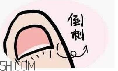 日本平價(jià)護(hù)手霜使用心得 日本藥妝kose q10護(hù)手霜深度測評