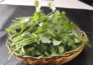 香菜根煮水能減肥嗎？香菜根煮水能天天喝嗎？