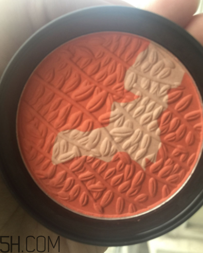 瑪麗黛佳腮紅怎么打？瑪麗黛佳腮紅怎么用？