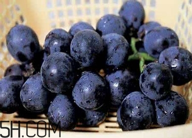 吃黑加侖對(duì)眼睛有什么好處？吃黑加侖要注意什么？