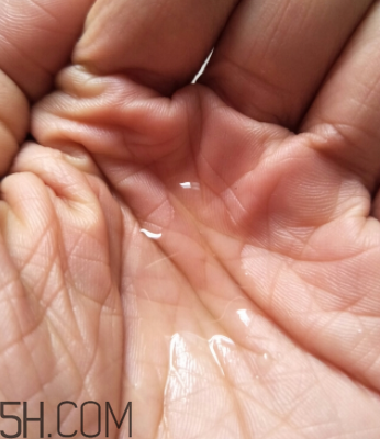 瓷肌蘆薈純露是爽膚水嗎？瓷肌蘆薈純露是乳液嗎？