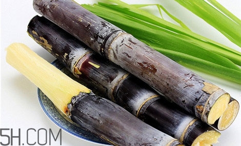 吃完甘蔗多久可以吃柿子？甘蔗和柿子一起吃了怎么辦？