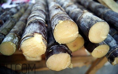 甘蔗和橙子能一起吃嗎？吃完甘蔗可以吃橙子嗎？