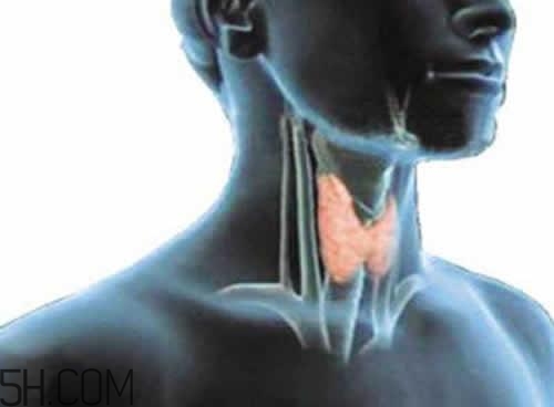 甲狀腺腫大和甲亢的區(qū)別有哪些？甲狀腺腫大適合吃什么食物？