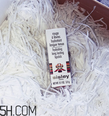 sisley希思黎抗氧保濕唇膏好用嗎？希思黎抗氧保濕唇膏測評