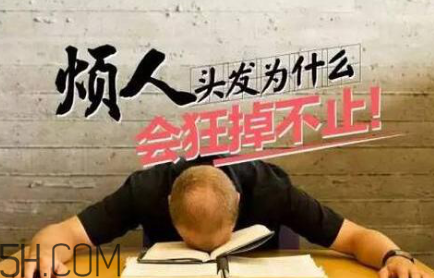 掉發(fā)年輕化怎么治？含硅洗發(fā)水是元兇？
