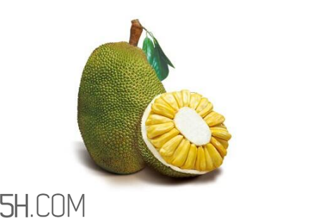 為什么吃菠蘿蜜拉肚子？吃菠蘿蜜拉肚子怎么辦？