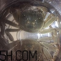 冬天可以吃大閘蟹嗎？冬天怎么吃大閘蟹？
