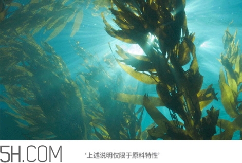 jmsolution珍珠面膜多少錢？jm珍珠面膜好用不過(guò)百元