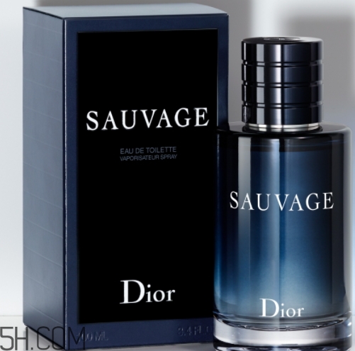 dior迪奧曠野男士淡香水好聞嗎？頻頻斷貨的魅力香水