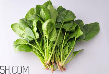 羊肉和菠菜能一起吃嗎？吃羊肉能吃菠菜嗎？