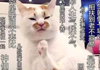 佛系妝是什么妝？佛系妝容輕松打造