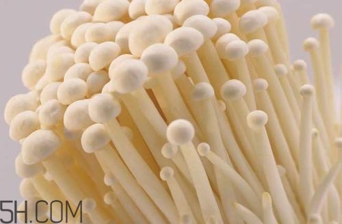 金針菇的食用禁忌有哪些？金針菇四大禁忌