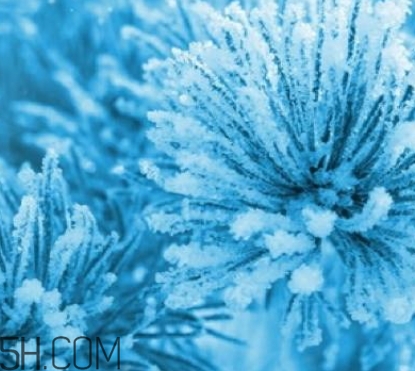 自然堂雪松精油怎么樣？雪松御齡綻放年輕光彩