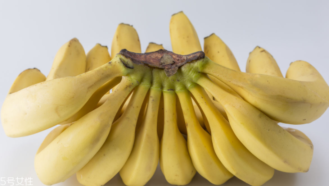 猴子為什么愛(ài)吃香蕉？熱量高營(yíng)養(yǎng)多令人高興
