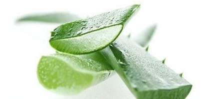 嘴唇干裂能用蘆薈膠嗎？鼻子脫皮也可以用蘆薈膠