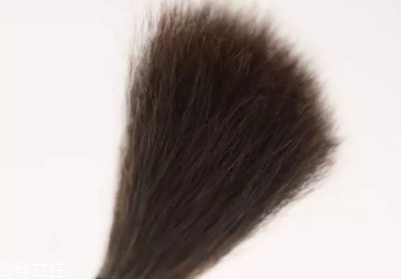 高光刷哪個牌子好？好用到哭的高光刷