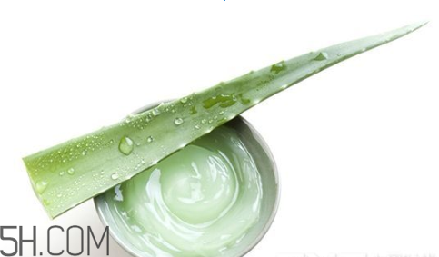 蘆薈膠吃了會(huì)怎樣？蘆薈膠的吃法